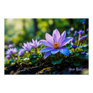 Poster Macro Fleurs sauvages de la forêt violette avec ro
