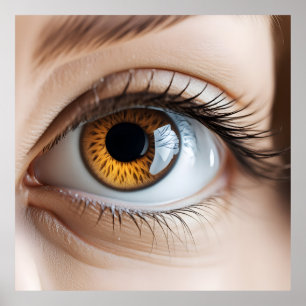 Poster Macro oeil femelle
