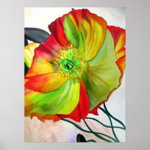 Poster Macro Poppy original aquarelle