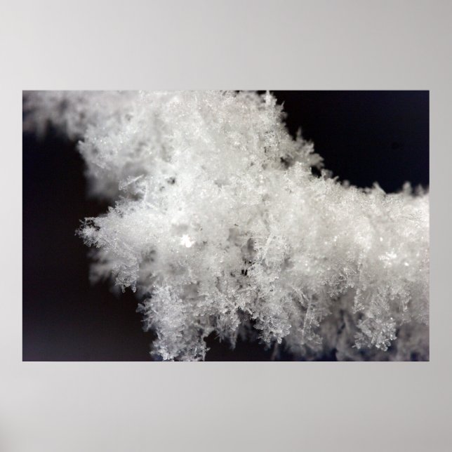 Poster Macro Snowflake (Devant)