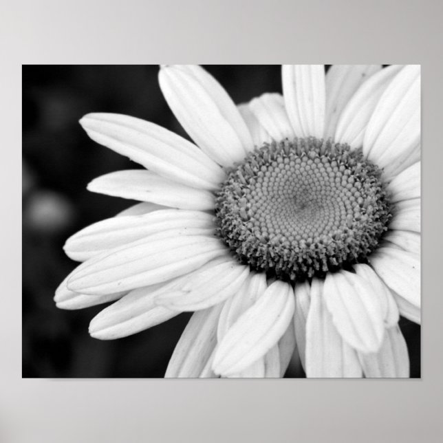 Poster macro vibrante noir et blanc photo floral (Devant)