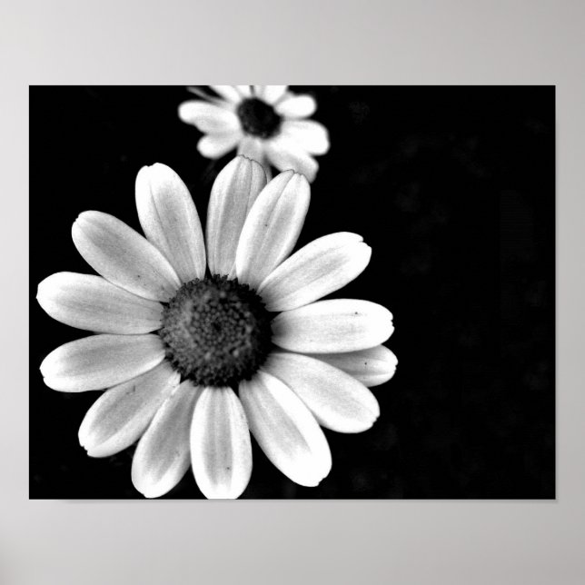 Poster macro vibrante noir et blanc photo floral (Devant)