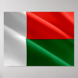 Poster Madagascar - Drapeau d'agitation -