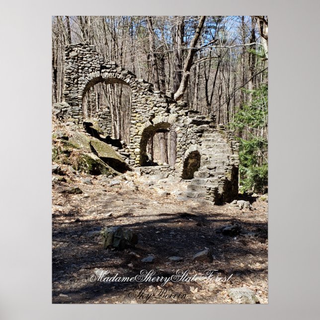 Poster Madame Sherry State Forest (Devant)