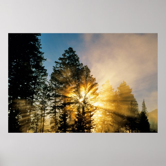 Poster Madison | Parc national de Yellowstone (Devant)