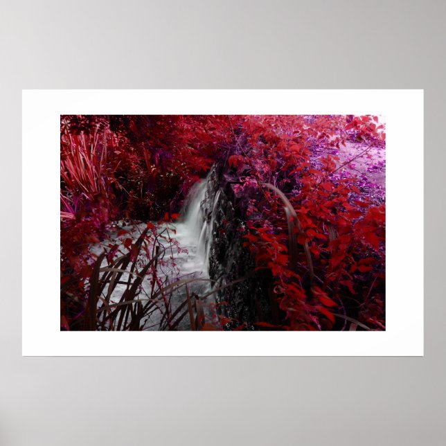 Poster Magenta (Devant)