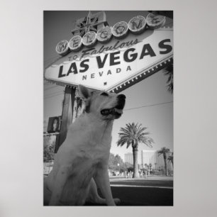 Poster Maggie - Las Vegas Sign