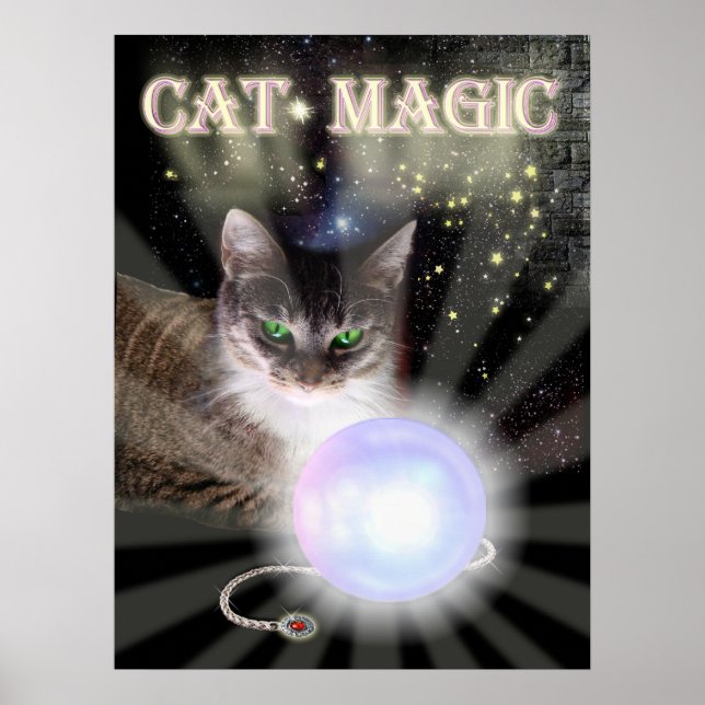 Poster Magie de chat (Devant)