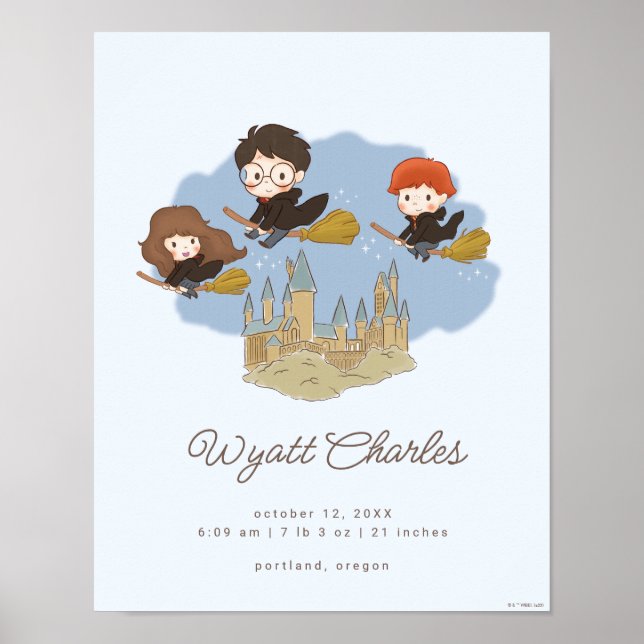 Poster Magique Harry Potter & Hogwarts statistiques de na (Devant)