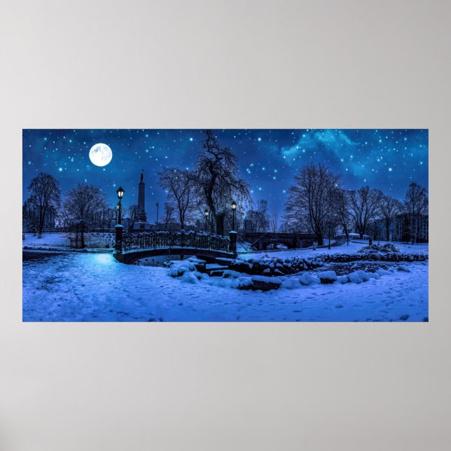 Poster Magique nuit d'hiver avec ciel étoilé et pleine lu (Devant)