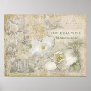 Poster Magnifique Magnolia Vintage