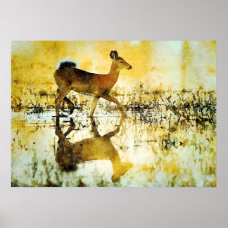 Poster Magnifique peinture à l'aquarelle de cerf blanc Do