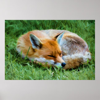 Poster Magnifique peinture numérique d'un renard endormi