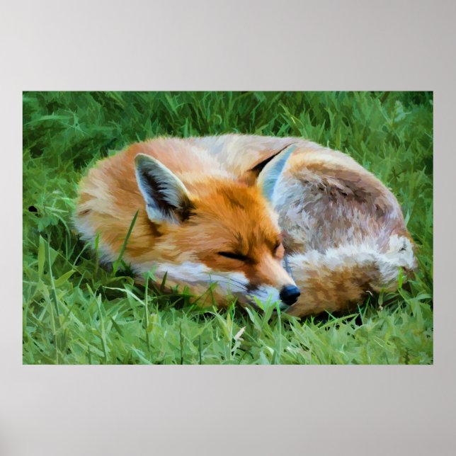 Poster Magnifique peinture numérique d'un renard endormi (Devant)