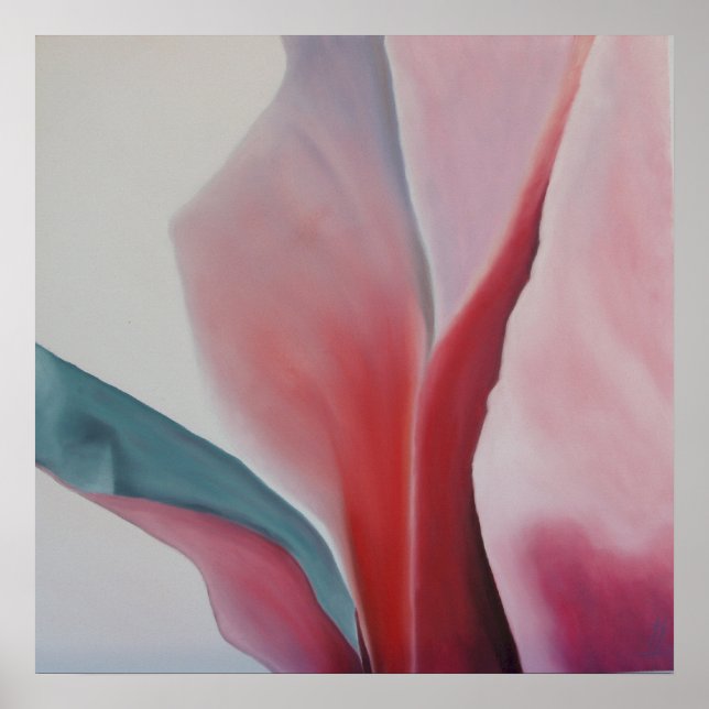 Poster Magnolia 2 (Devant)