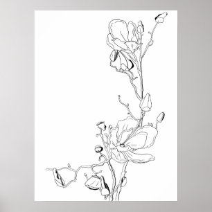 Poster Magnolia dessins botaniques à la ligne