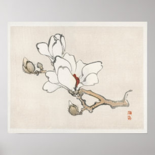 Poster Magnolia par Kōno Bairei (1844-1895)