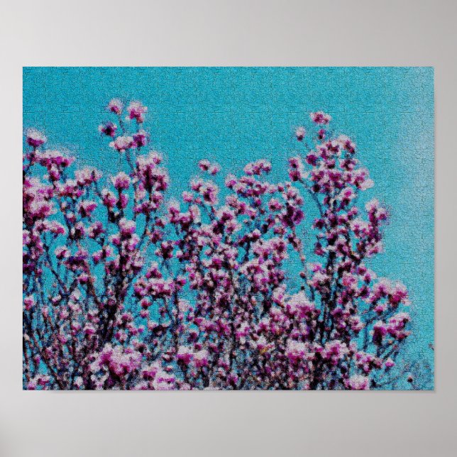 Poster Magnolia rose Fleurs Ciel Bleu Peinture Photo (Devant)