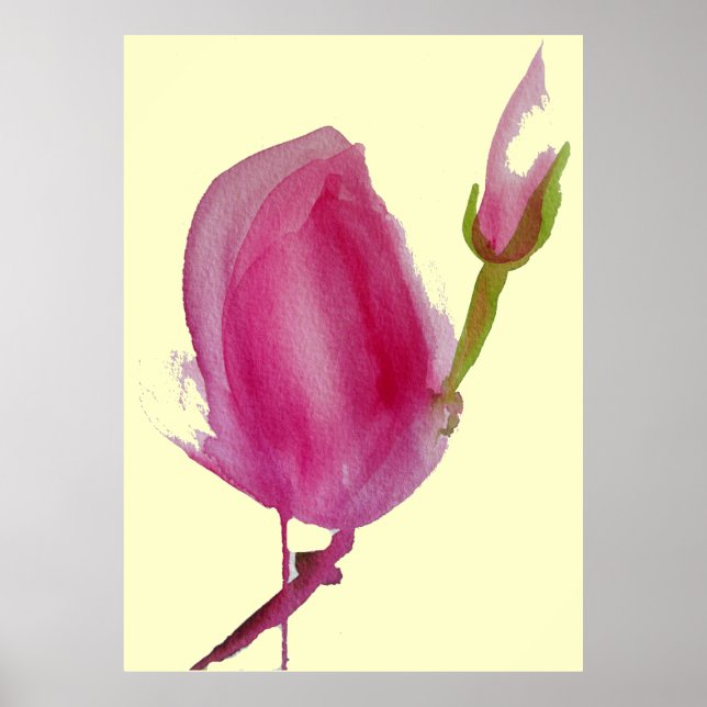Poster Magnolia rose grande fleur rose aquarelle art (Devant)