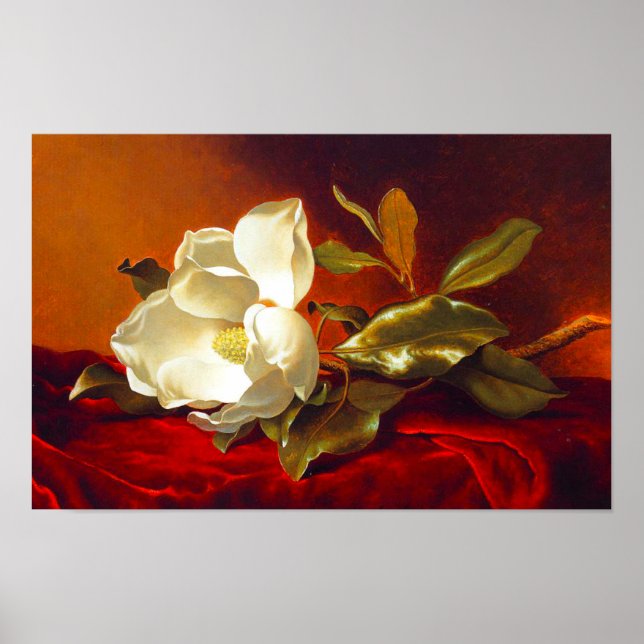 Poster Magnolia sur Red Velvet Martin Johnson Heade (Devant)