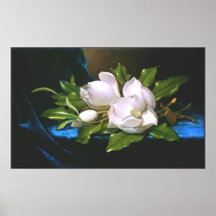Poster Magnolias sur Blue Velvet