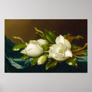 Poster Magnolias sur tissu bleu clair en velours par M J 