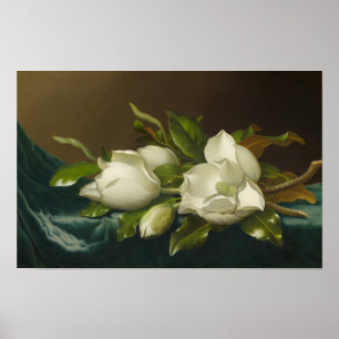 Poster Magnolias sur velours bleu clair ,Peinture célèbre