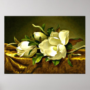 Poster Magnolias sur Veston d'or, peinture d'art