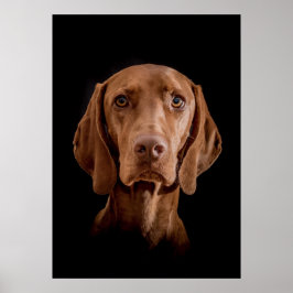 Poster Magyar Vizsla Ō en!