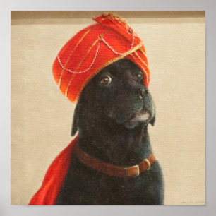 Poster Maharaja réticent 2010