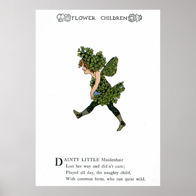 Poster Maidenhair (Devant)