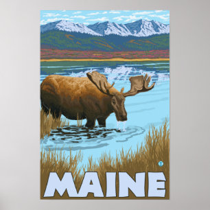 Poster MaineMoose buvant dans le lac