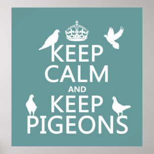 Poster Maintenez calme et gardez les pigeons - toutes les
