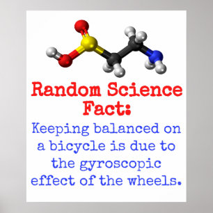 Poster Maintenir L'Équilibre Sur Un Vélo - Science Fact