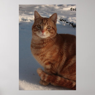 Poster Maintien à chaud