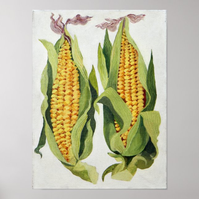 Poster Maïs doux 2013 (Devant)