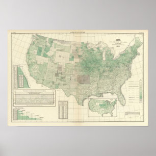 Poster Maïs par acre plantée