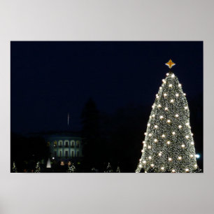 Poster Maison Blanche et Fête nationale des arbres de Noë