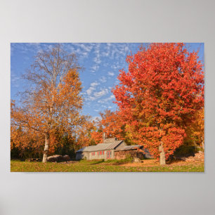 Poster Maison du sucre du Vermont