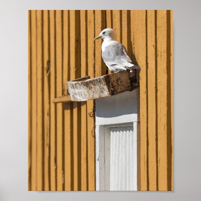 Poster Maison Jaune Seagull (Devant)