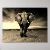Majestic Wild Bull Elephant à Sepia
