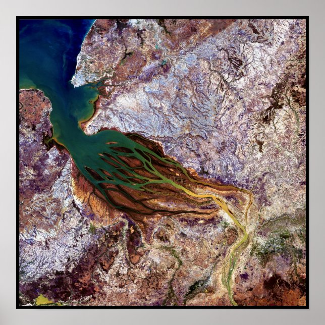 Poster Maladie (Devant)