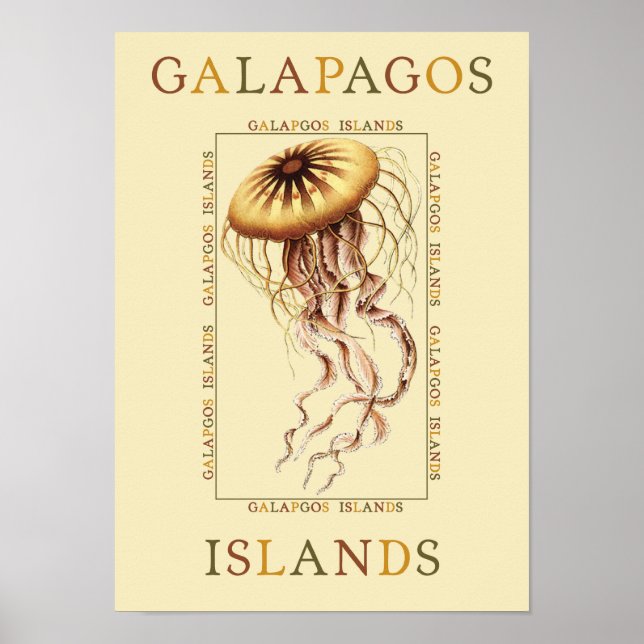 Poster Maladie des îles Galapagos (Devant)
