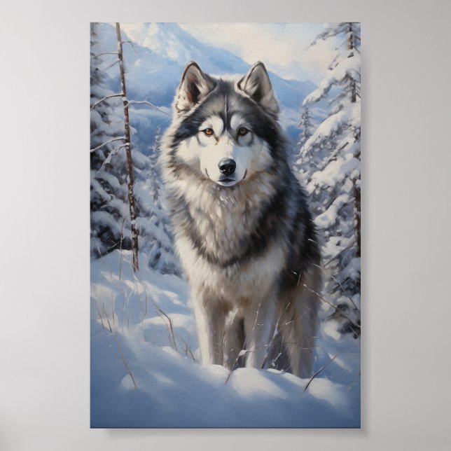 Poster Malamute d'Alaska (Devant)