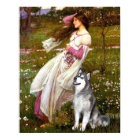 Malamute d'Alaska - Fleurs blanches