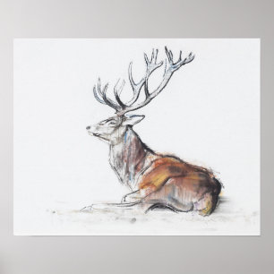 Poster Mâle posé 2006