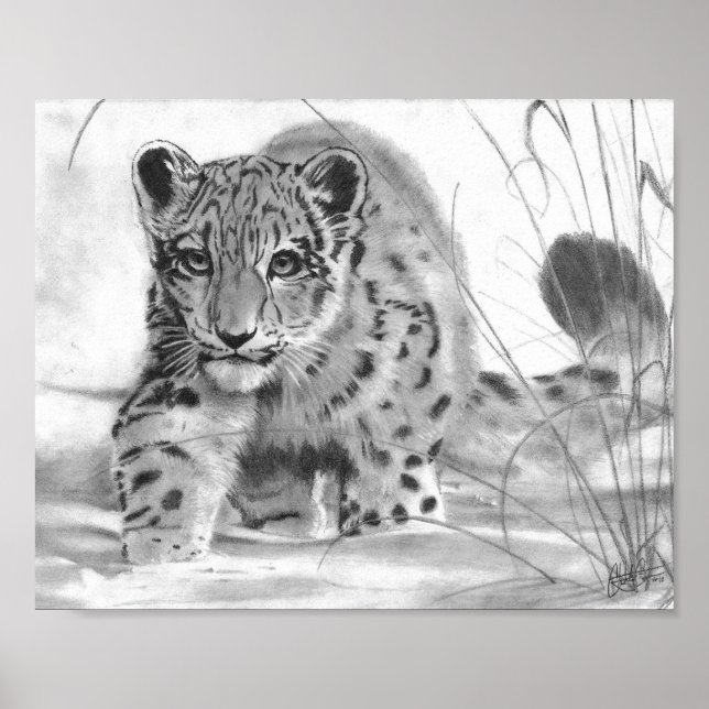 Poster Malicieux (Devant)