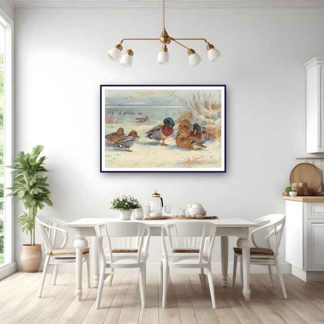 Poster Mallard et turquoise dans la neige, Oiseaux (Créateur téléchargé)