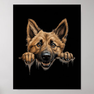 Poster Maman Chien Berger Belge Laekenois Papa qui regard