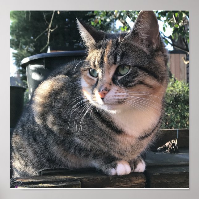 Poster Mamma de Ruby, Mme Ribby (Devant)